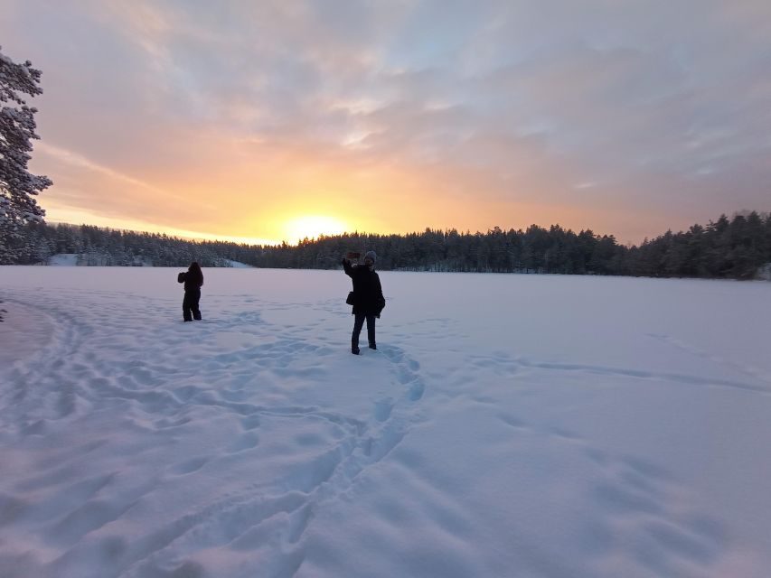 From Helsinki: Nuuksio National Park Hiking Tour with Food - Who should book this walk