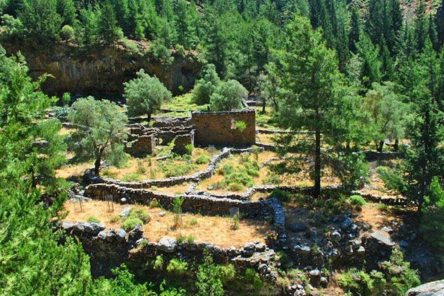 From Heraklion: Samaria Gorge & Agia Roumeli Hiking Day Trip - Time pressure on a 4 to 5 hour hike