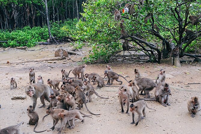 From Ho Chi Minh: Can Gio Trek – Monkey Island & Crocodile Farm - Rung Sac Military Base and wartime stories