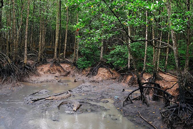 From Ho Chi Minh: Can Gio Trek – Monkey Island & Crocodile Farm - What the $28.50 price really covers