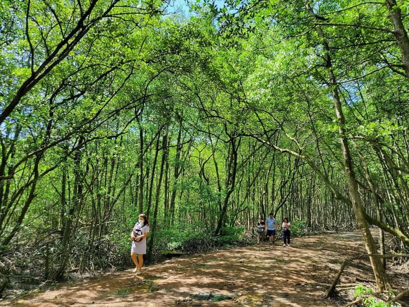 From Ho Chi Minh City: Can Gio Mangrove & Monkey Island Trek - Morning pickup and the ferry south