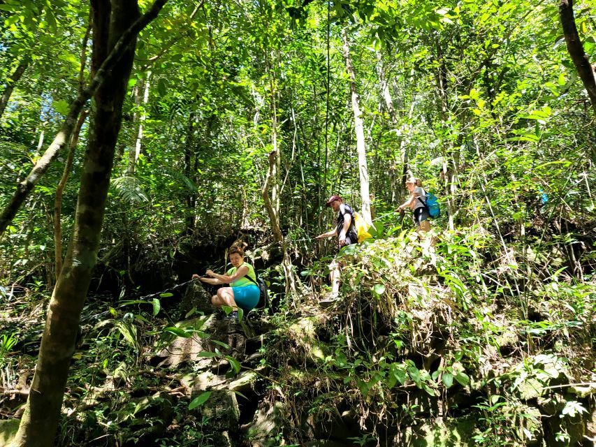 From Hue: Bach Ma National Park Hiking Day Trip with Pickup - Who should book this hike?
