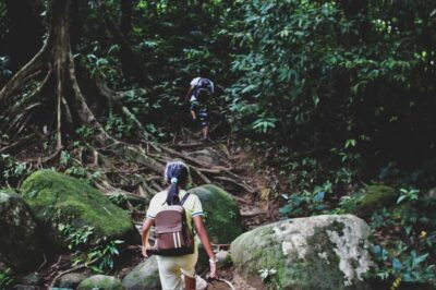 From Khao Lak: Khao Sok Jungle Hike & River Tour