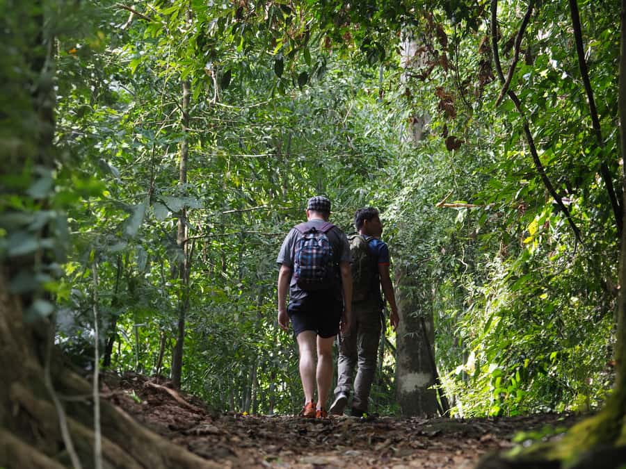 From Khao Lak: Khao Sok Jungle Hike & River Tour - Khao Sok View Point before the ride home