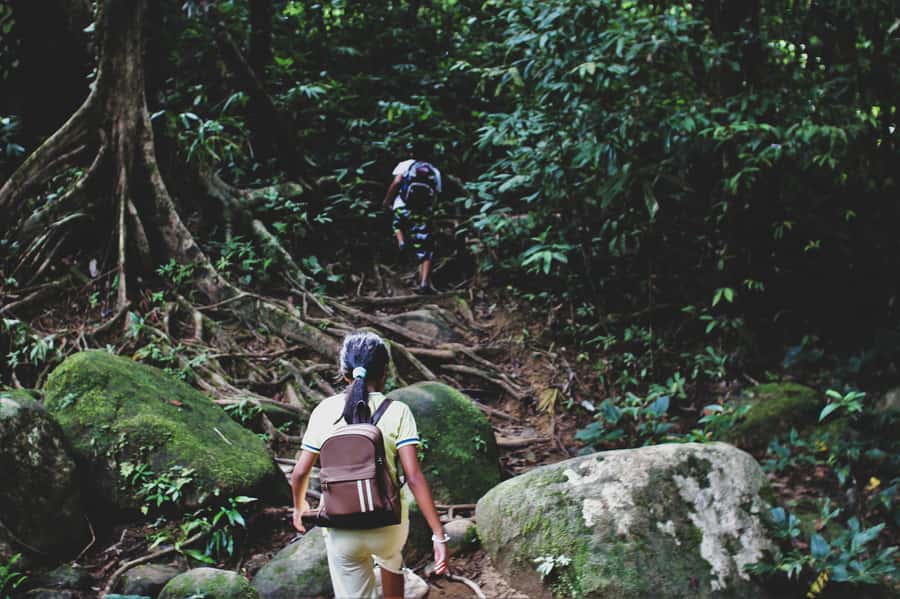 From Khao Lak: Khao Sok Jungle Hike & River Tour - What the hike feels like in real conditions