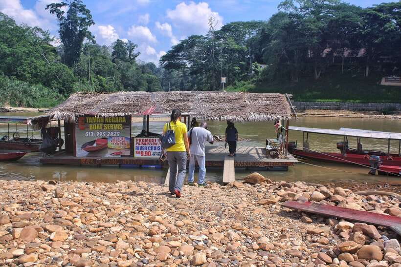 From Kuala Lumpur: Taman Negara National Park Trek Day Tour - Key points to know before you book