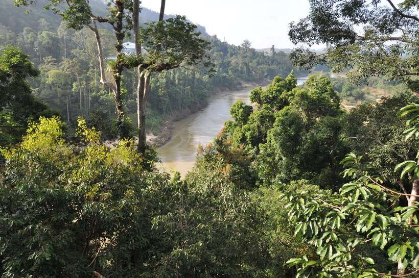 From Kuala Lumpur: Taman Negara National Park Trek Day Tour - Why this Taman Negara day trip works