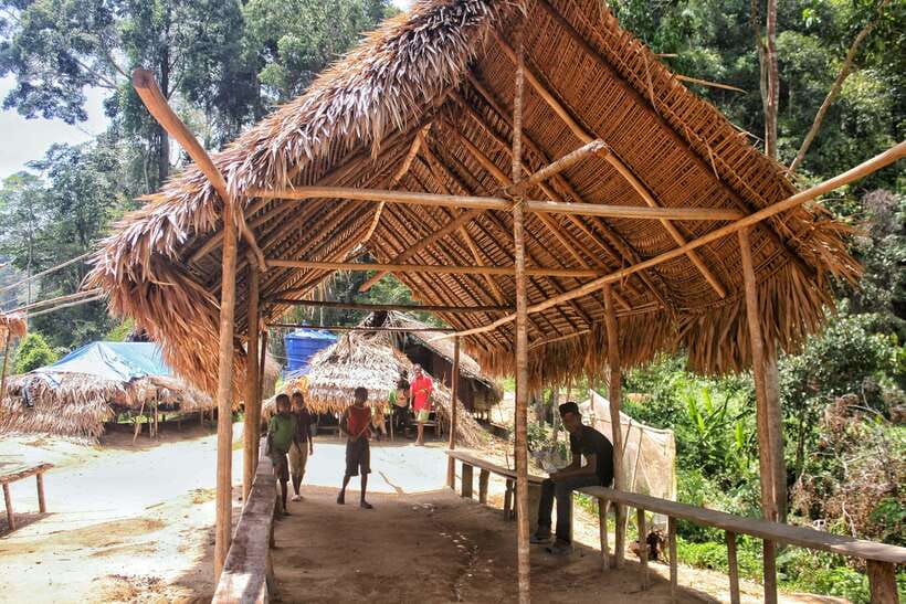 From Kuala Lumpur: Taman Negara National Park Trek Day Tour - What you may see in the forest