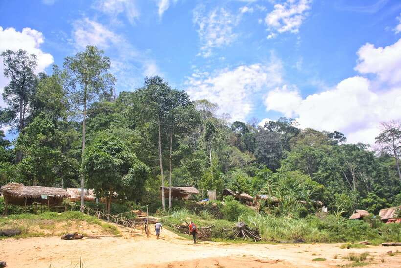 From Kuala Lumpur: Taman Negara National Park Trek Day Tour - Meeting the Bateq Orang Asli community