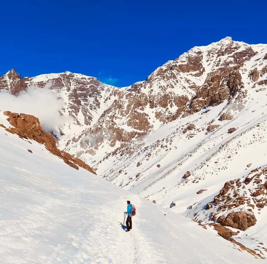 From Marrakech: 3-Day Mount Toubkal Climbing Trek - What the $226 price really includes