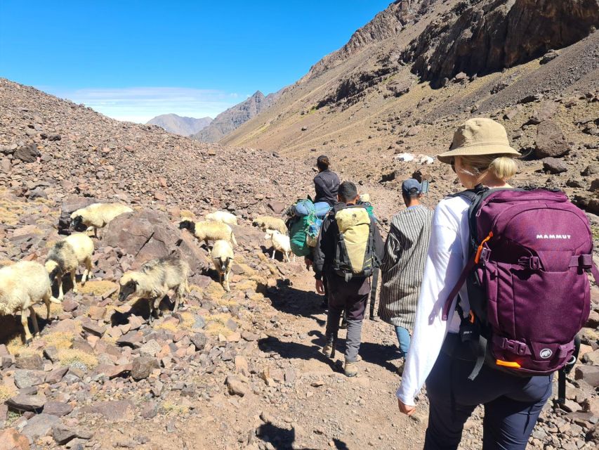 From Marrakech: Atlas Mountains 4-Day Hike with Hotels - Food, guesthouses, and the mule support