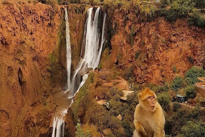 From Marrakech: Ouzoud Waterfalls Guided Hike and Boat Trip - Olive groves, argan oil, and Amazigh culture