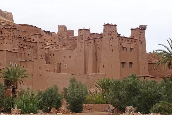 From Marrakech: Private Tour to Oasis and Trekking in the Desert of Erg Chigaga - Day two: Tamegroute, M’Hamid, and the desert track