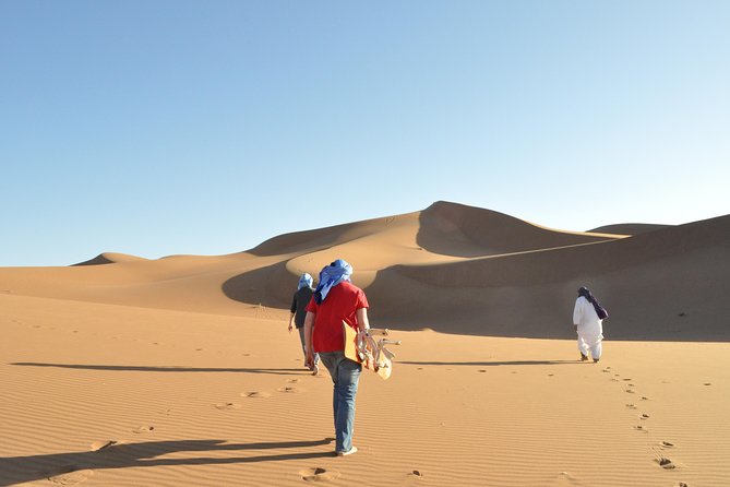 From Marrakech: Private Tour to Oasis and Trekking in the Desert of Erg Chigaga - Day three: camels, tamarind trees, and desert silence
