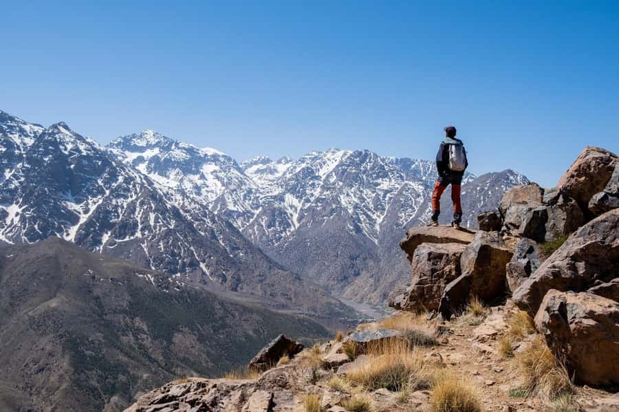 From Marrakesh: Atlas Mountains Talamrout Summit Day Hike - Pine forest, Tizi nTamatert, and the final ascent