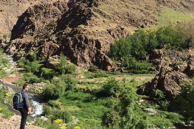 From Marrakesh: Zip-Line & Hike in the Atlas Mountains - Four zip lines above the pine forest