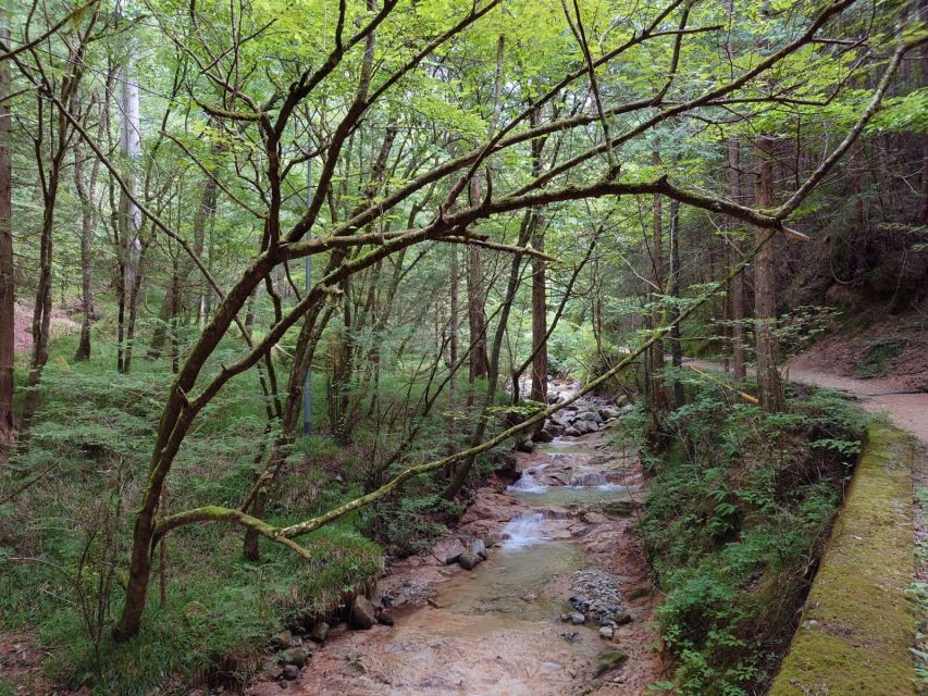 From Matsumoto/Nagano: Nakasendo Trail Walking Tour - The guide makes the difference