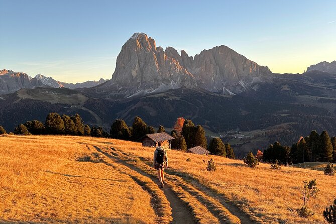 From Milan/Como/Varenna: Panoramic Hiking Tours near Lake Como - The guide makes the private format worthwhile