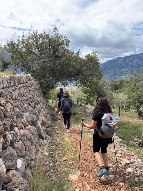 From Palma: Sierra de Tramuntana Hiking with small Picnic - Walking the GR221 Dry Stone Route