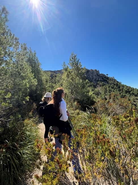 From Palma: Sierra de Tramuntana Hiking with small Picnic - A picnic with local products after about two hours