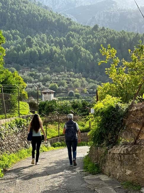 From Palma: Sierra de Tramuntana Hiking with small Picnic - Meeting Daniela in Palma and heading into the mountains