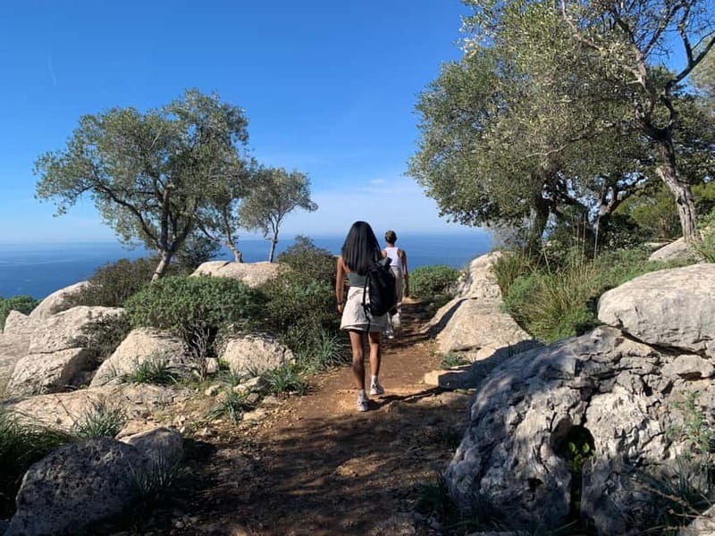 From Palma: Valldemossa Tour and Mountain Viewpoint Hike - Key points at a glance