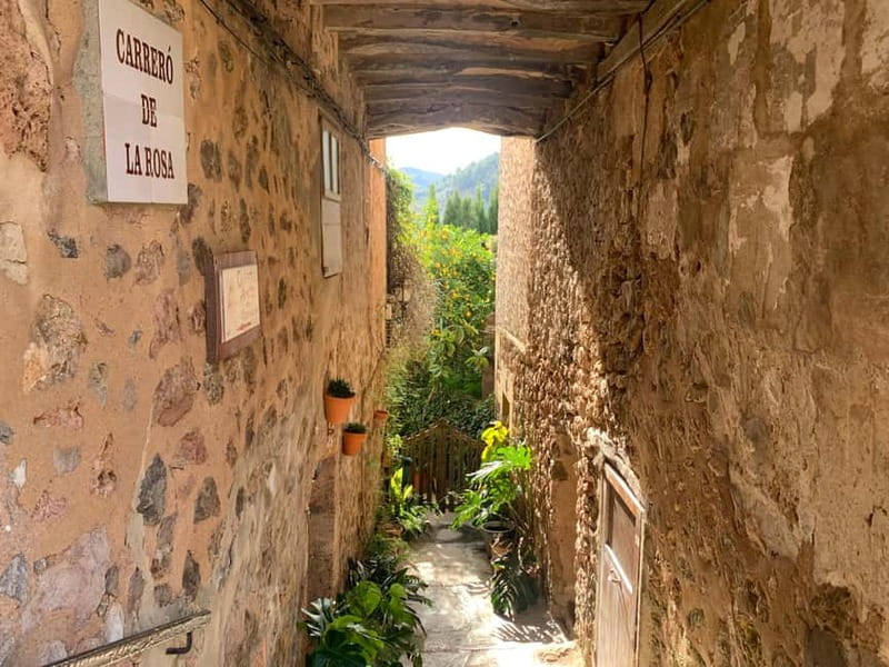 From Palma: Valldemossa Tour and Mountain Viewpoint Hike - Who should book this Valldemossa outing?