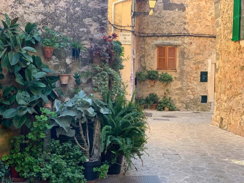 From Palma: Valldemossa Tour and Mountain Viewpoint Hike - Why the viewpoints are the real opening act
