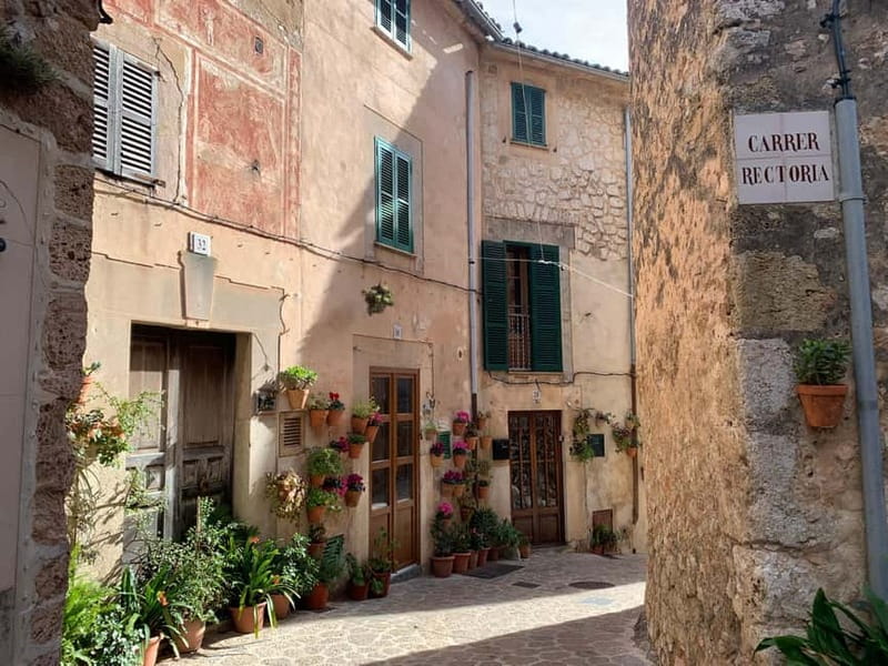 From Palma: Valldemossa Tour and Mountain Viewpoint Hike - A guide who adjusts the day