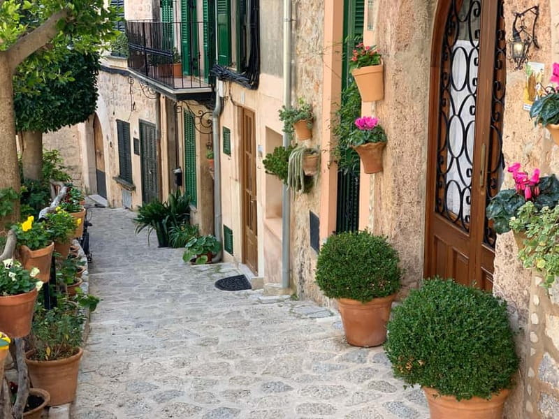 From Palma: Valldemossa Tour and Mountain Viewpoint Hike - Is $105 a fair price?