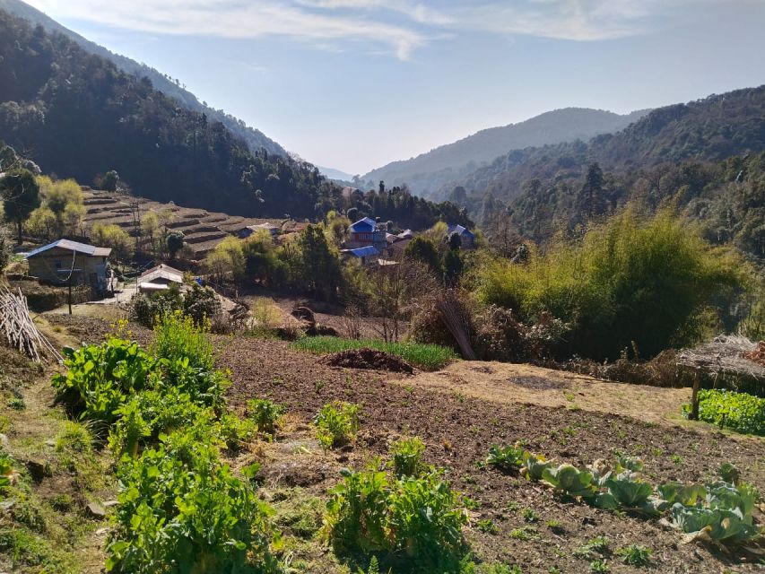 From Pokhara: 10-Day Poon Hill and Annapurna Base Camp Trek - Day 6: Bamboo to Deurali through the Modi Khola valley