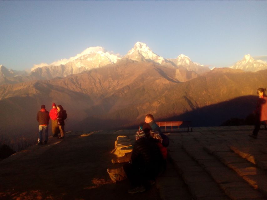 From Pokhara: Budget 2 Night 3 days Poon hill trek - Day two: Tadapani to Ghorepani through rhododendron country