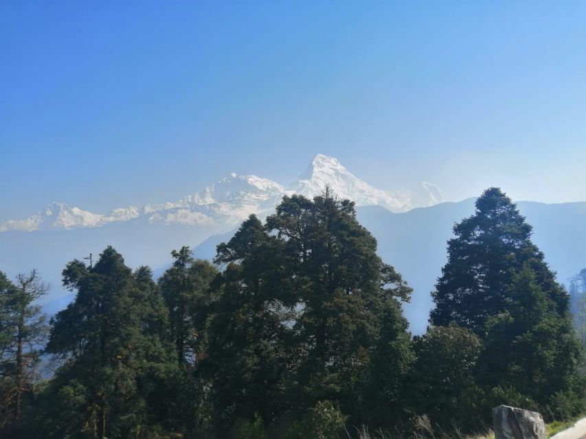 From Pokhara: Budget 2 Night 3 days Poon hill trek - Should you book the Poon Hill trek?