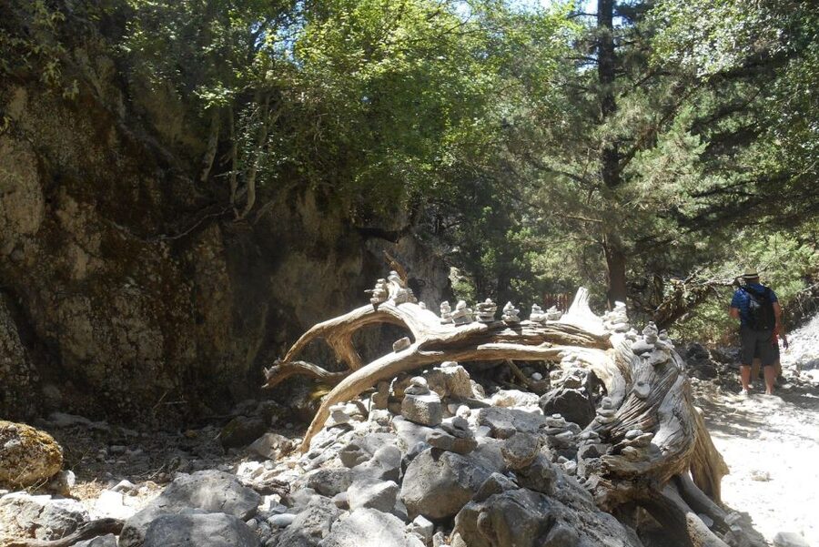 From Rethymno/Chania: Imbros Gorge Hike - A long but scenic ride from Rethymno or Chania