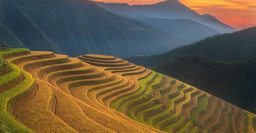 From Sapa: 1-Day Guided Trek to Lao Chai & Ta Van with Lunch - Why this Sapa trek feels more personal