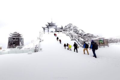 From Sapa: 1-Day Guided Trek to Lao Chai & Ta Van with Lunch