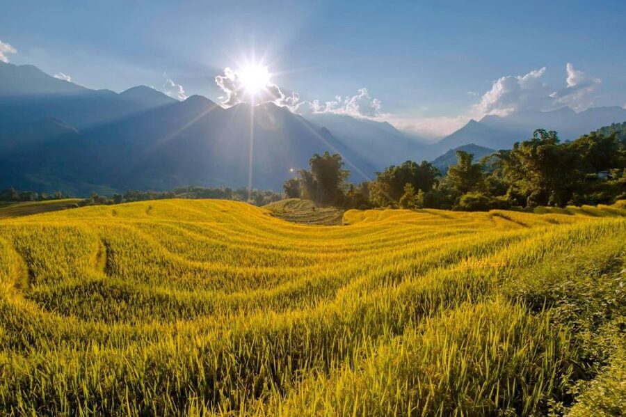 From Sapa: 1-Day Guided Trek to Lao Chai & Ta Van with Lunch - Who should book this walk?