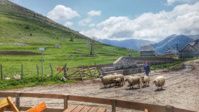 From Sarajevo: Full-Day Hike to Lukomir Village - Is $88 good value?