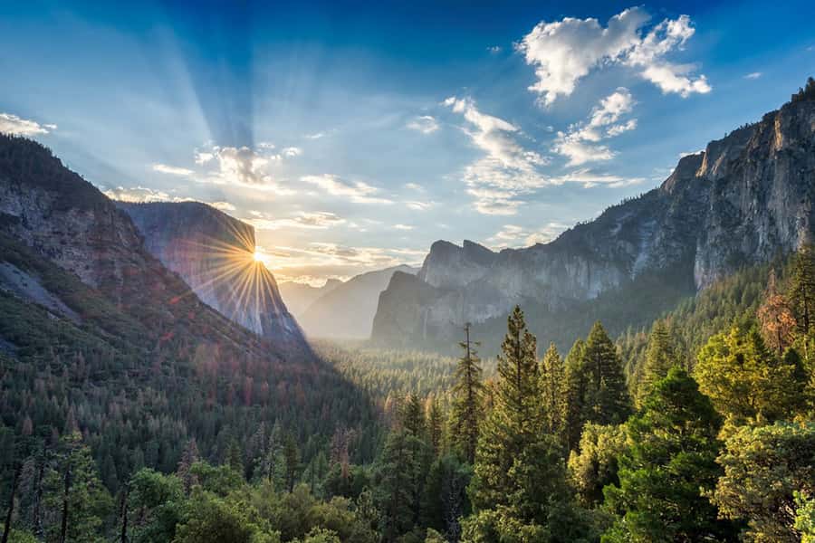 From SF: Yosemite Day Trip with Giant Sequoias Hike & Pickup - Comfort, food, and the practical value of $239