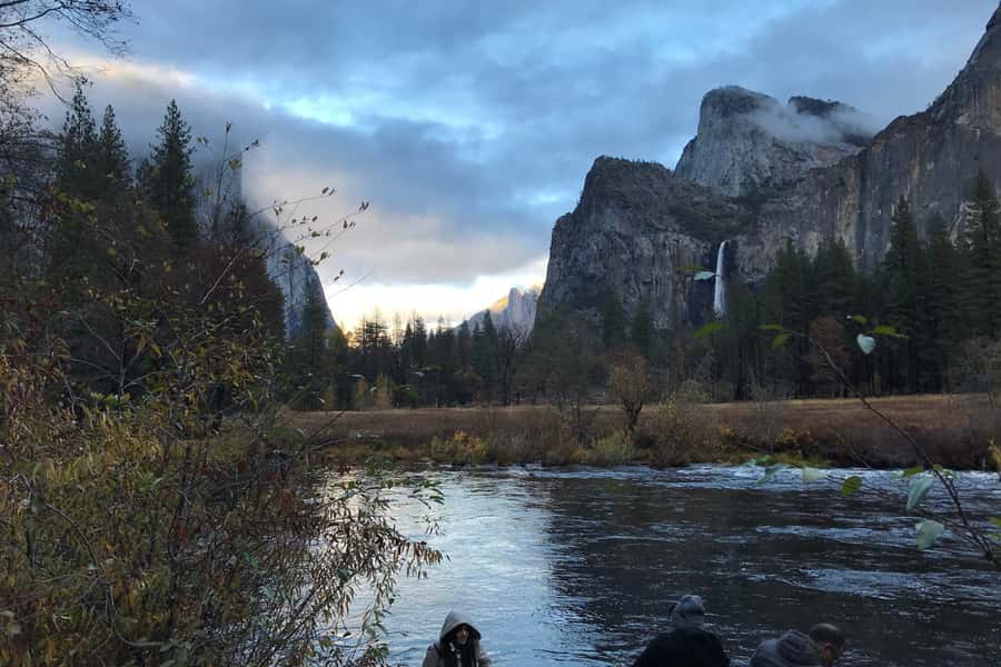 From SF: Yosemite Day Trip with Giant Sequoias Hike & Pickup - The Tuolumne Grove hike is the tour’s most distinctive stop
