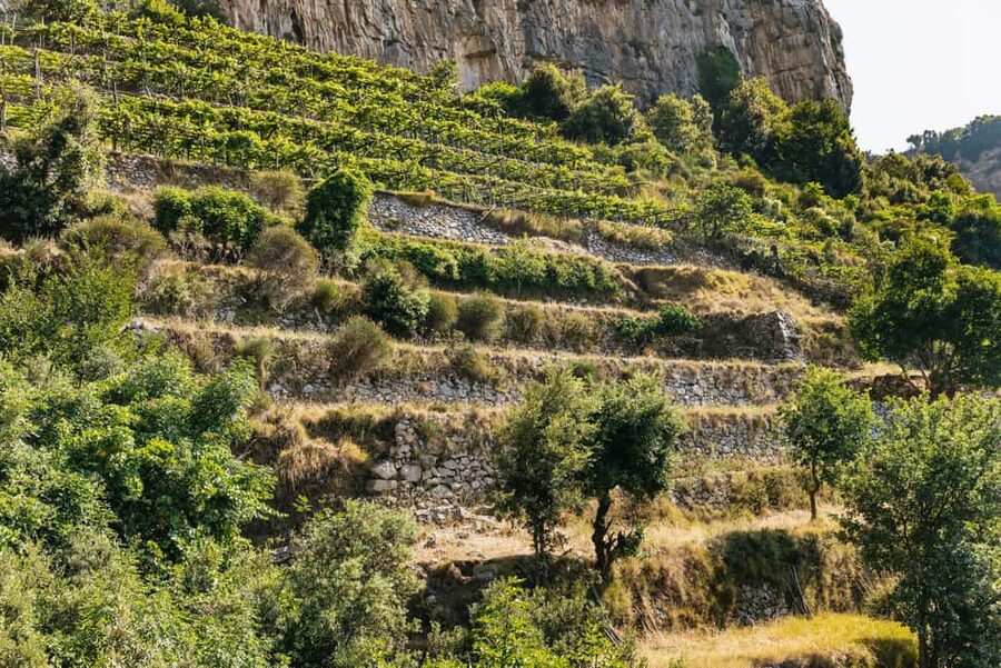 From Sorrento: Path of the Gods Guided Hike with Transfers - Guides who make the walk easier to understand