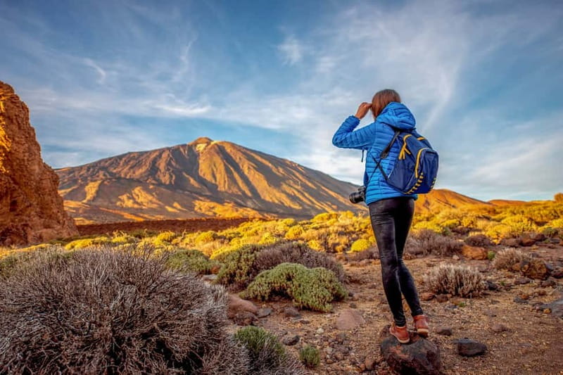 From South Tenerife: Mount Teide Hiking Day Trip & Cable Car - Entering Teide National Park and waiting for the cable car