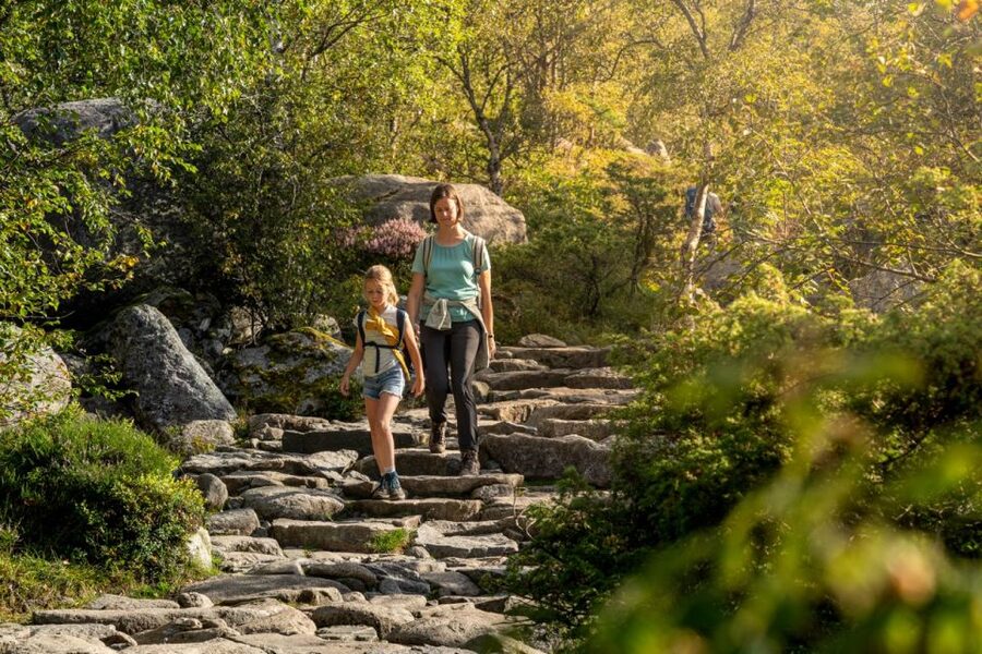From Stavanger: Pulpit Rock Guided Hike with Pickup - A small van, a real guide, and local stories