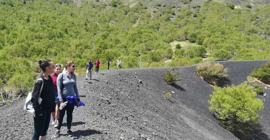 From Taormina: Half-Day Mount Etna Morning Trek - Key points to know