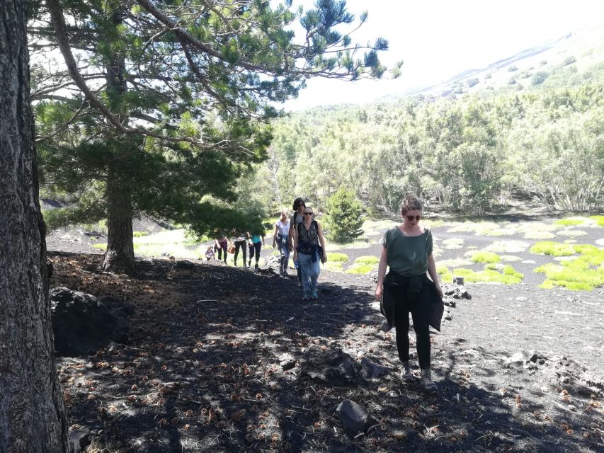 From Taormina: Half-Day Mount Etna Morning Trek - The views depend on the weather