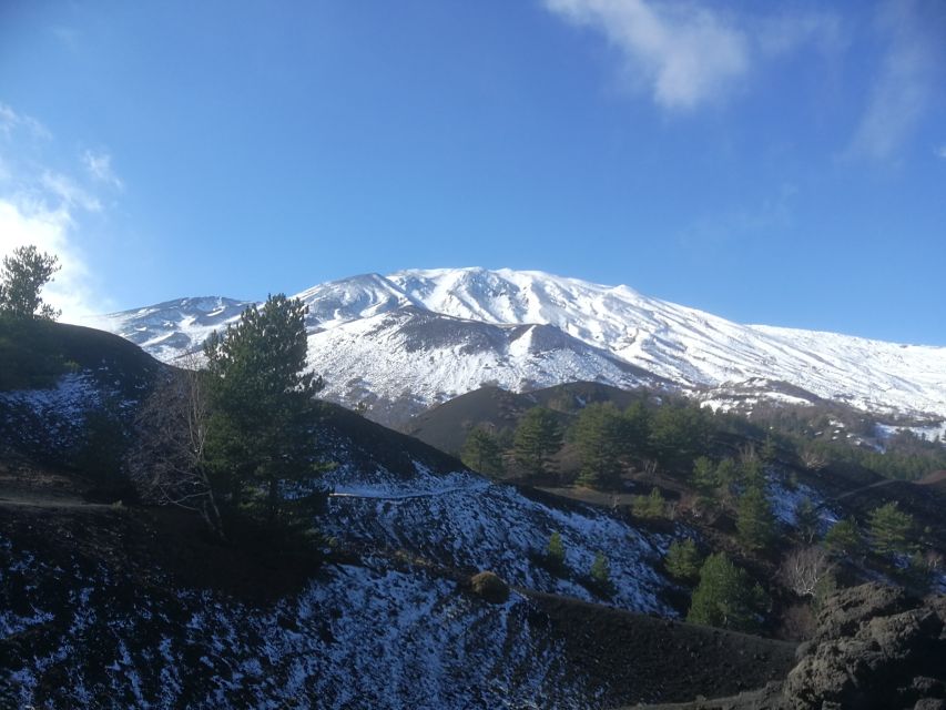 From Taormina: Half-Day Mount Etna Morning Trek - A simple winery lunch after the walk