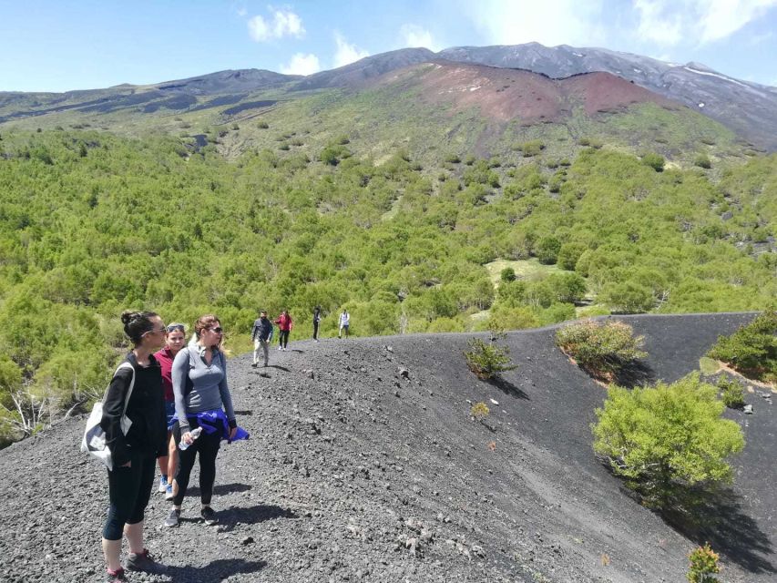 From Taormina: Half-Day Mount Etna Morning Trek - Who should book this trek?