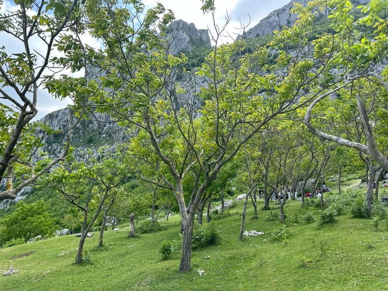From Tirana: Bovilla Lake & Gamti Mountain Viewpoint Hike - Who should book this trip