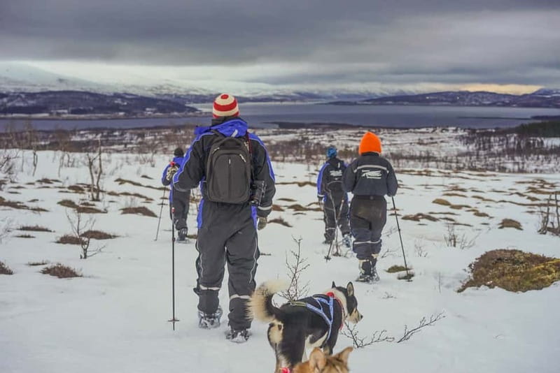 From Tromsø: Guided Husky Snowshoe Hike and Husky Camp Visit - Leaving Tromsø for the husky camp