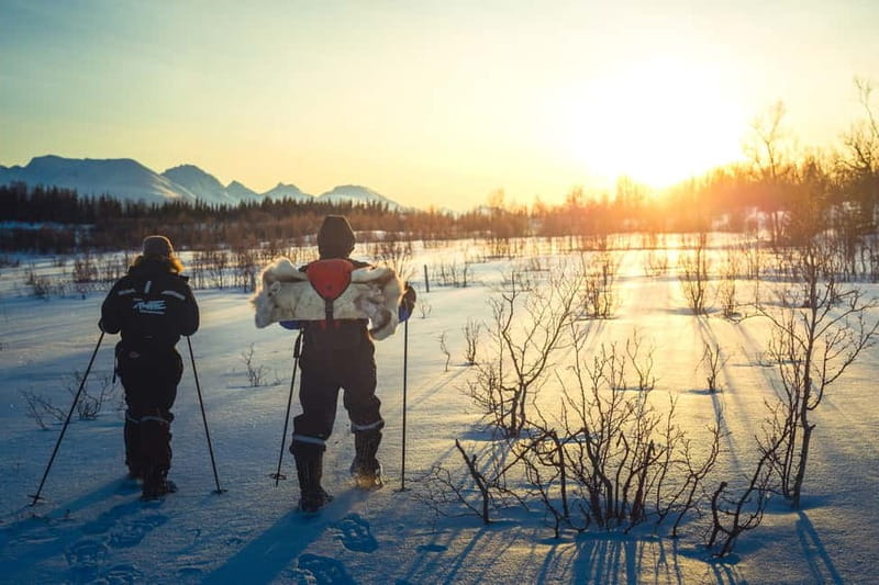 From Tromsø: Guided Husky Snowshoe Hike and Husky Camp Visit - The Arctic walk with one or more huskies
